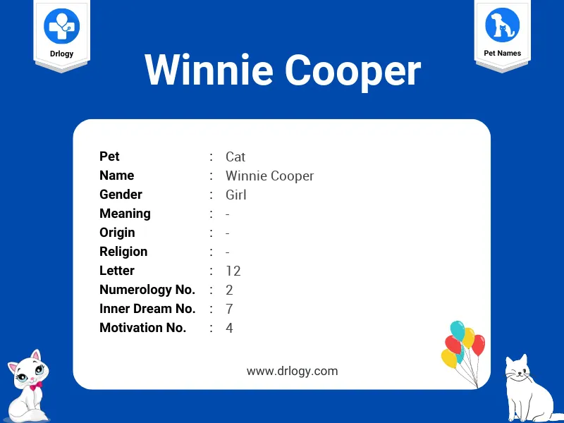 Winnie Cooper Name Meaning